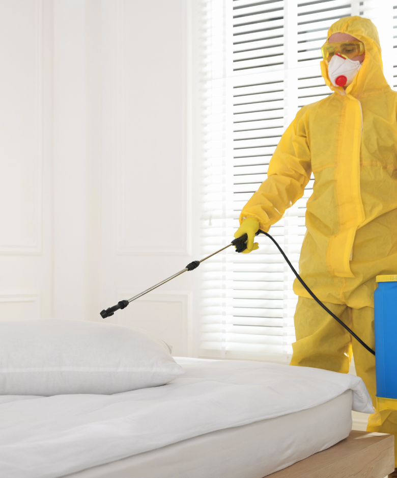 Professional Pest Control Team in Blakeview